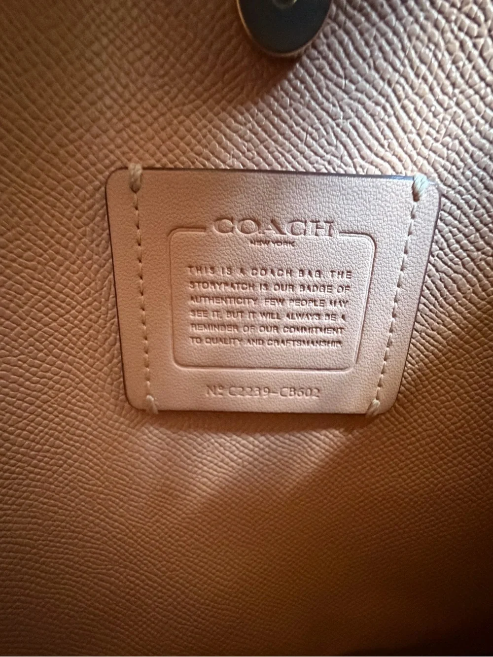 Coach Mollie Bucket Bag 22 In Signature Canvas With Strawberry Print CB602